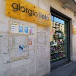 giorgio lieto
